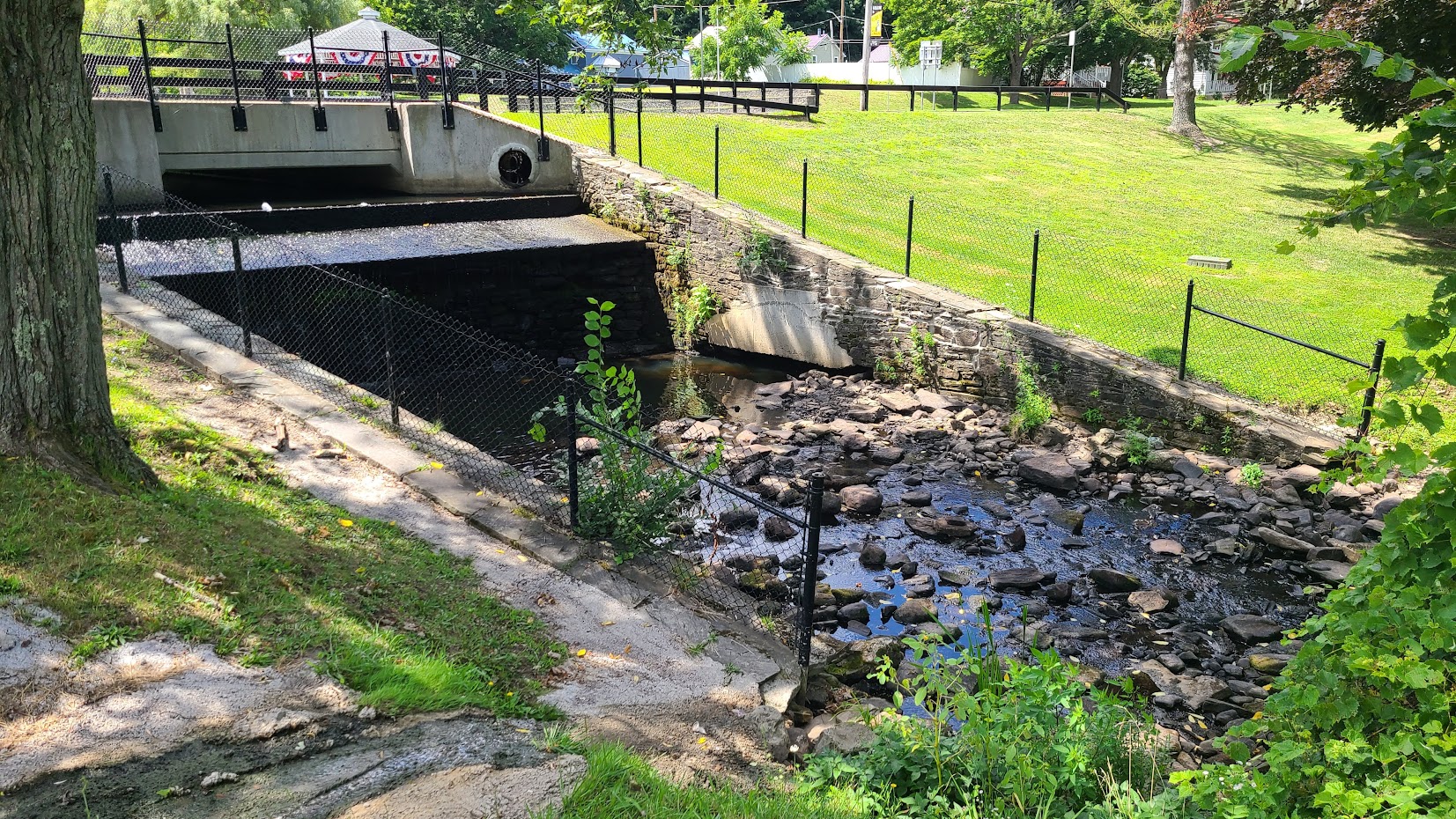 Youngs Mill Dam Pre-remediation